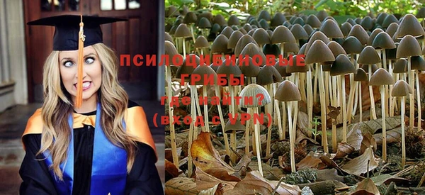 прущие крисы Краснотурьинск