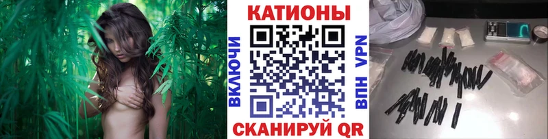МЯУ-МЯУ мука  Купить где  Дальнереченск 