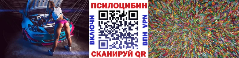 Купить  Дальнереченск  Псилоцибиновые грибы MAGIC MUSHROOMS 